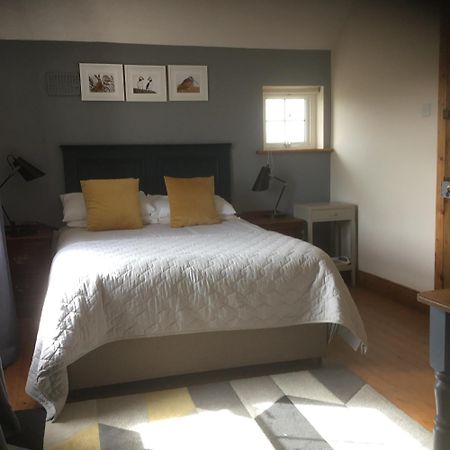 Pensjonat Dromelihy House Stud Doonbeg Zewnętrze zdjęcie