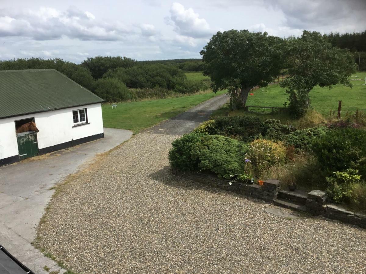 Pensjonat Dromelihy House Stud Doonbeg Zewnętrze zdjęcie