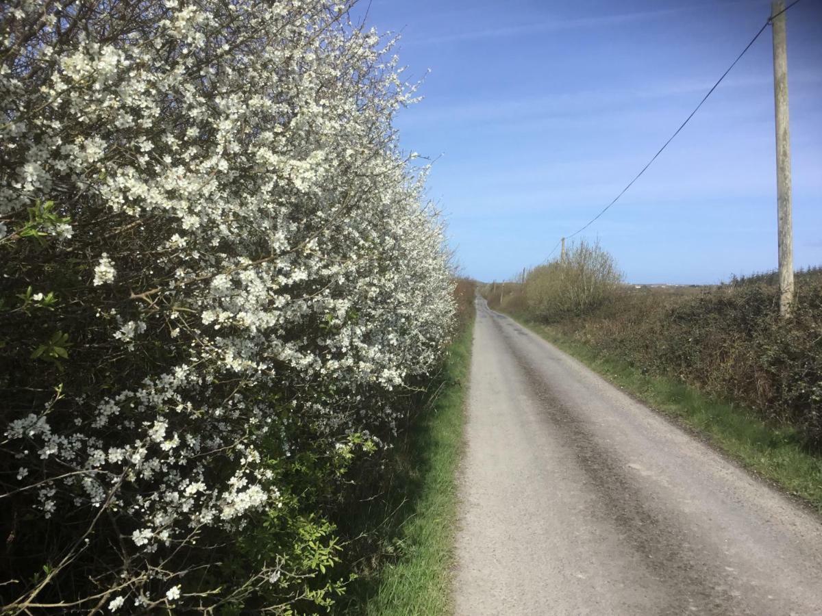 Pensjonat Dromelihy House Stud Doonbeg Zewnętrze zdjęcie